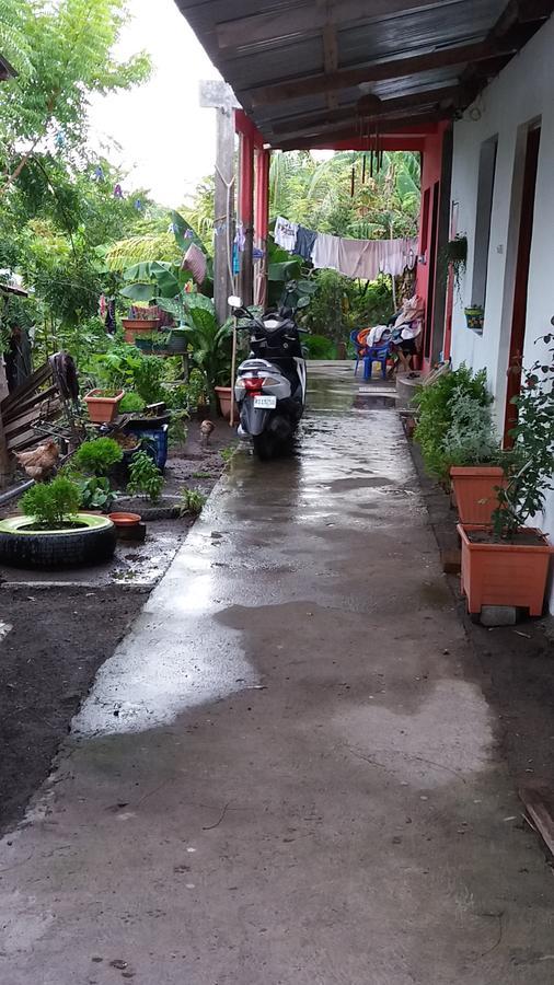 Mi Ranchito Bed & Breakfast Santa Cruz ภายนอก รูปภาพ